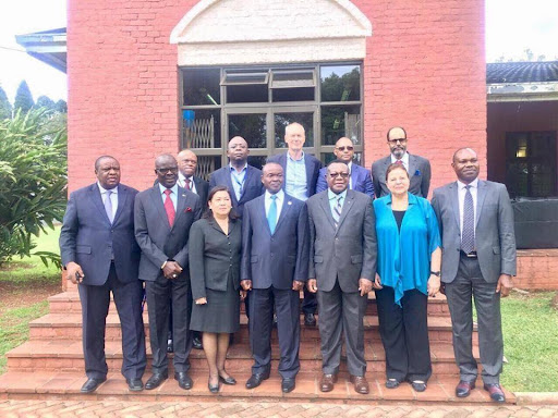 Katseli with a group of leaders on the steps of a government building in Africa