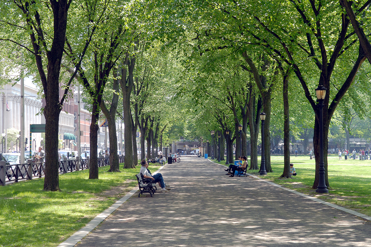 New Haven, CT park