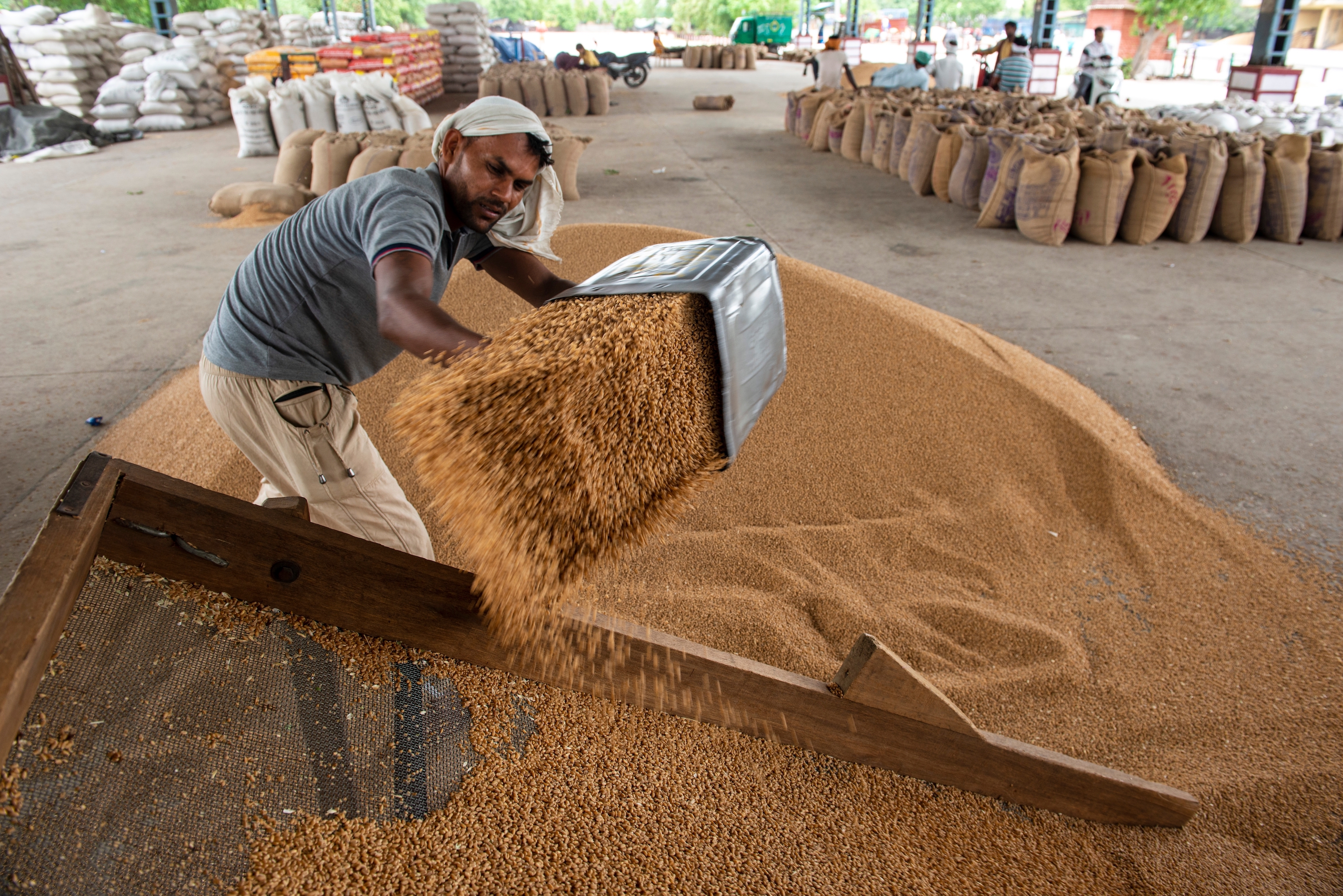 A man in India shoveling grain