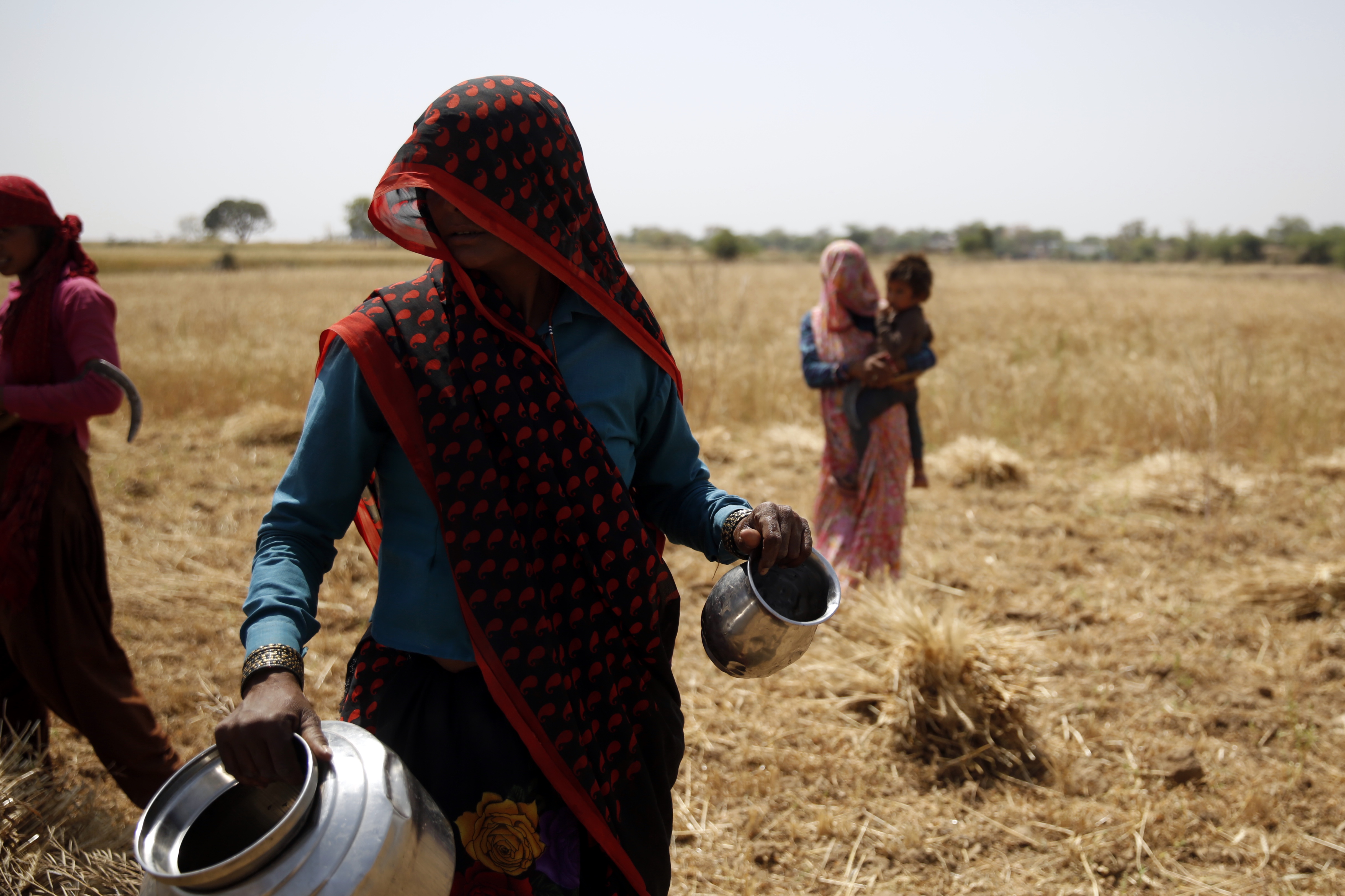 A female field worker serving others water