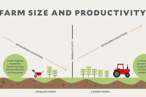 A graph showing farm size and productivity