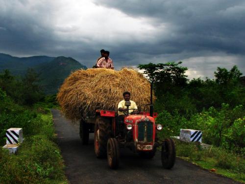 photo: farmer driving a tractor