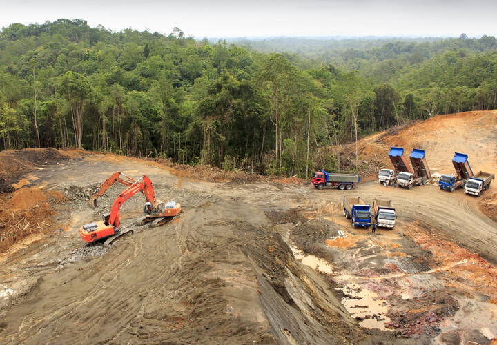 Deforestation to rainforest in Borneo