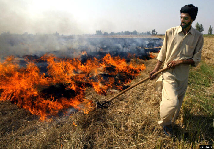 Farmer burning paddy husks.