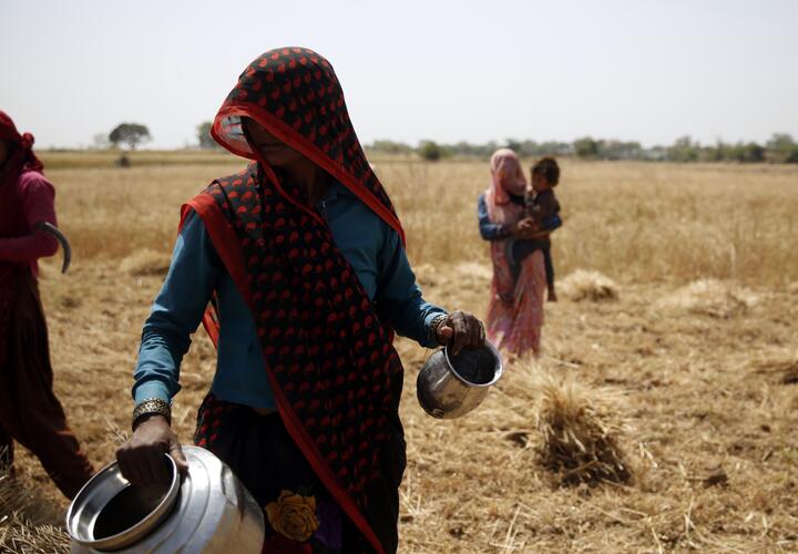 Female agricultural workers at the study site in Madhya Pradesh. 