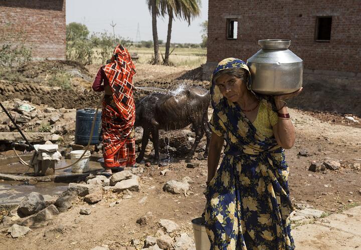 Woman holding a jug with another woman behind washing a cow. 