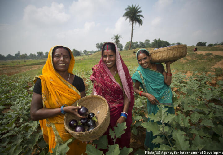 Women working in a field