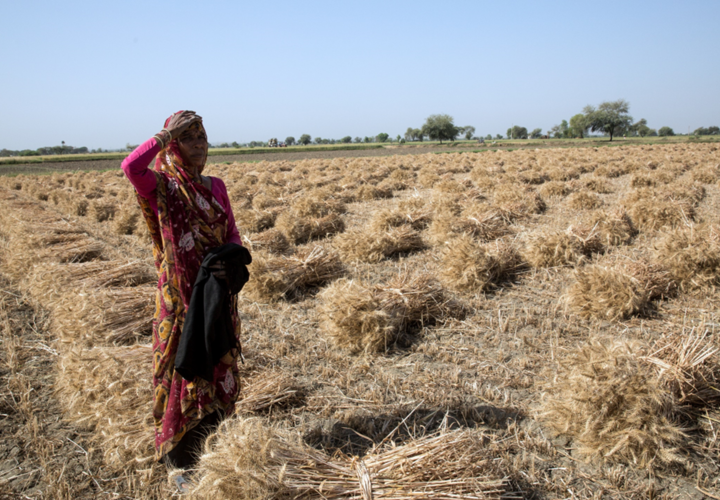 A woman in a red dress stands in a field, looking off into the distance