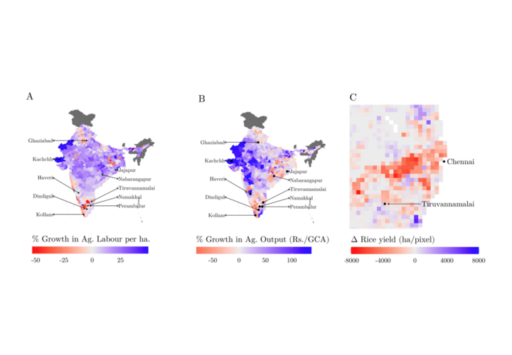 A graph showing growth in labor and outputs in India