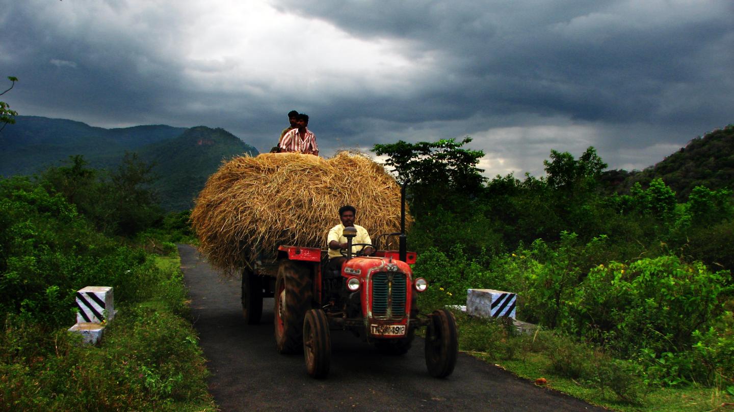 Man driving tractor on Indian farm