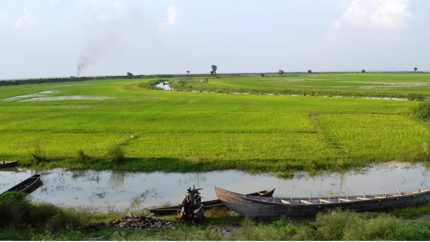 Green fields and boats near river