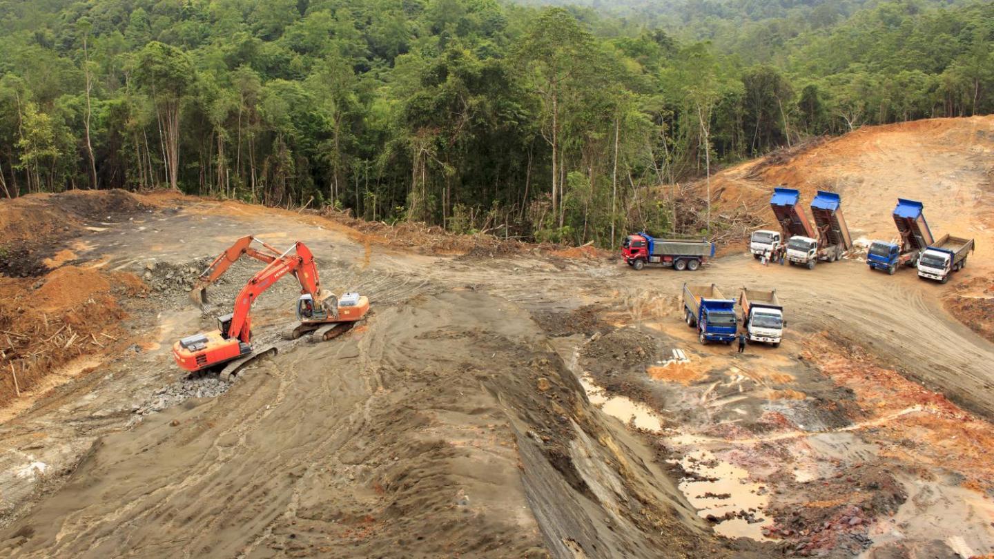 Deforestation of the rainforest in Borneo, Malaysia 
